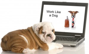 Work Like a Dog