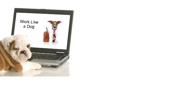 Bulldog Laptop Dog in Tie