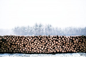lumber pile, wood
