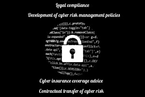 cyber risk management services, legal compliance