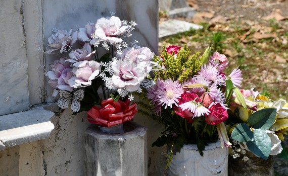 flowers on grave
