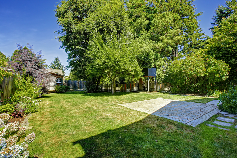 Backyard garden with wooden small fence. Tree house and shed