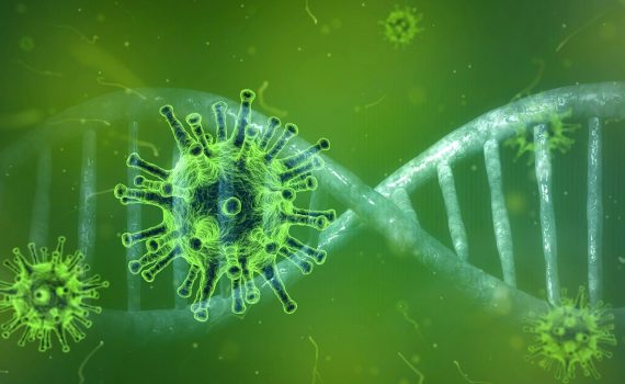 coronavirus small business